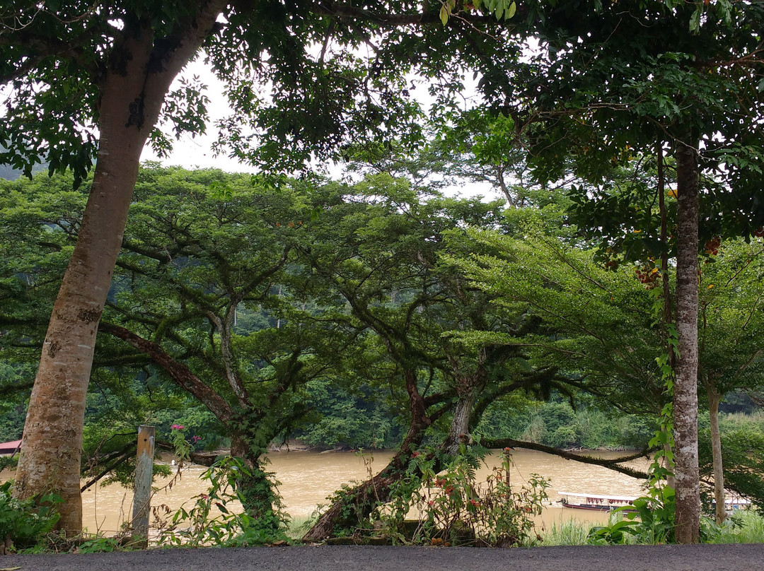 TEBiNG Guesthouse Taman Negara Malaysia Kuala Tahan主图