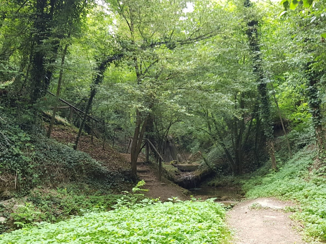 Cascata di Civorio景点图片