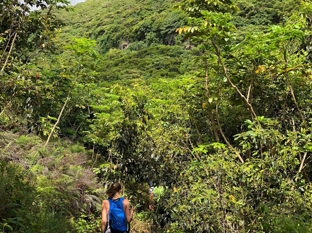 Maʻakua Ridge Trail-哈乌乌拉必去景点
