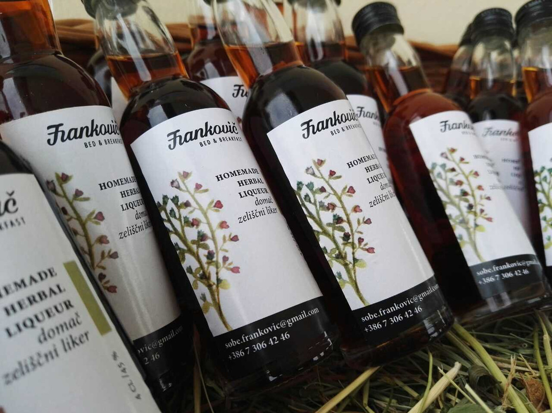 Sobe Frankovic主图