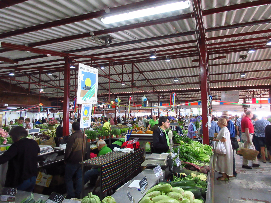 Mercado Municipal De Tacoronte景点图片