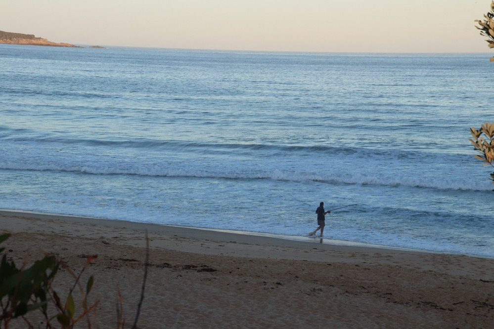 Aslings Beach Boardwalk景点图片