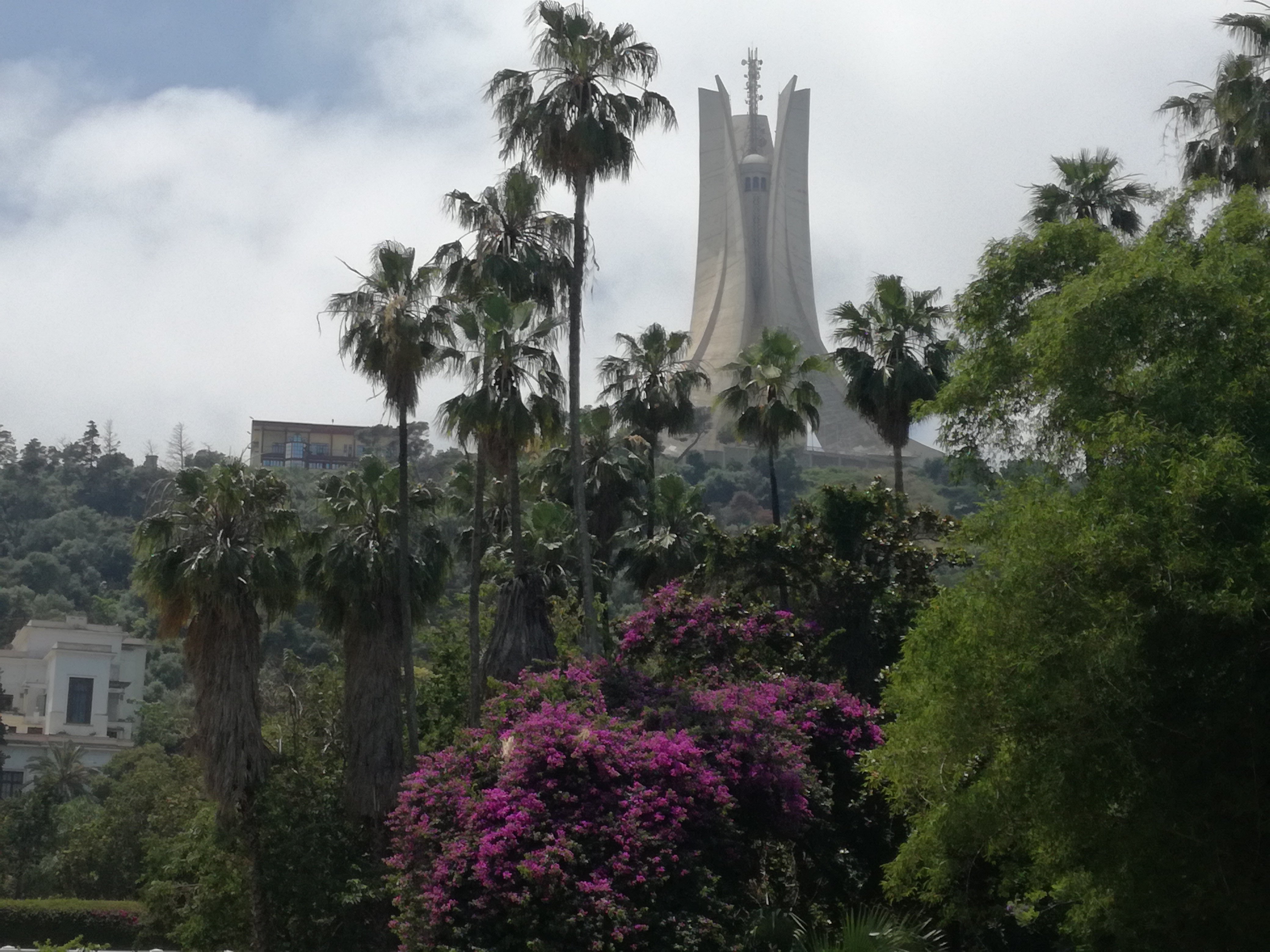 City Hotel Alger-酒店景观