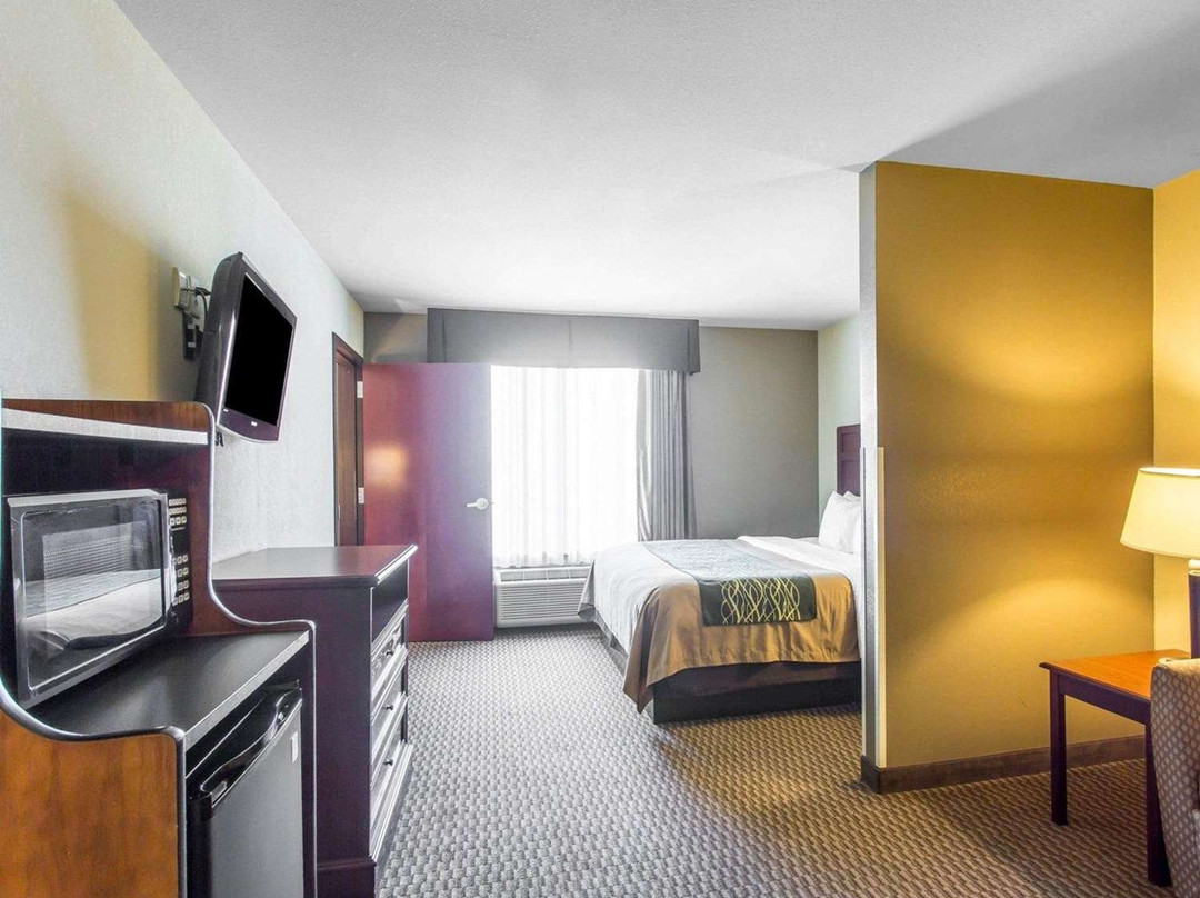 Comfort Inn & Suites主图