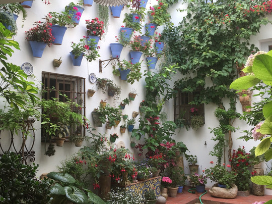 Ontdek Cordoba-科尔多瓦必去景点