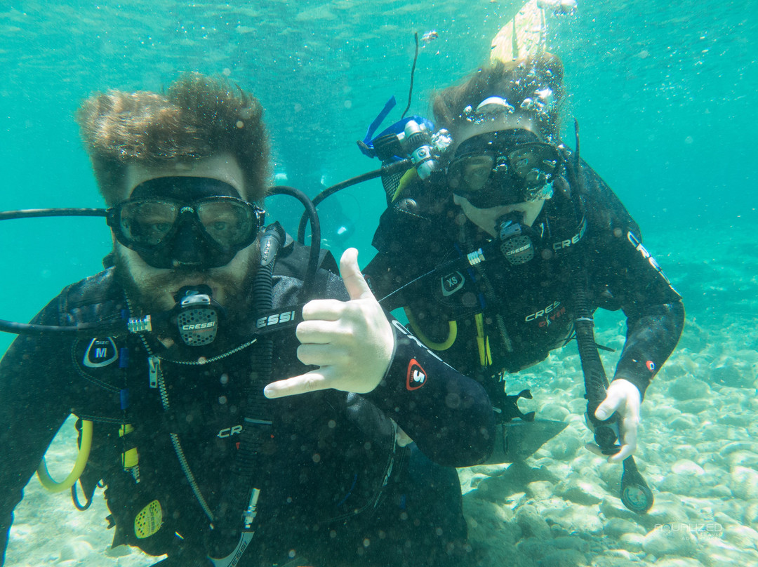 Aqualized Dive Adventures景点图片