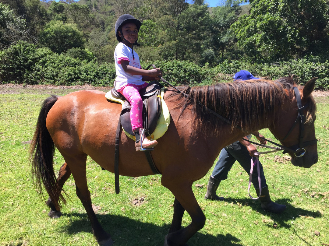 Boschrivier Farm & Stables-Wittedrift必去景点