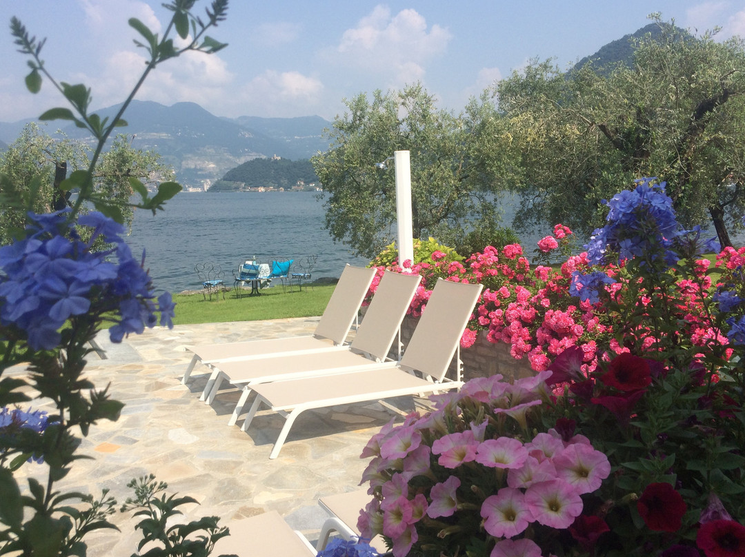 Paradise Coast主图