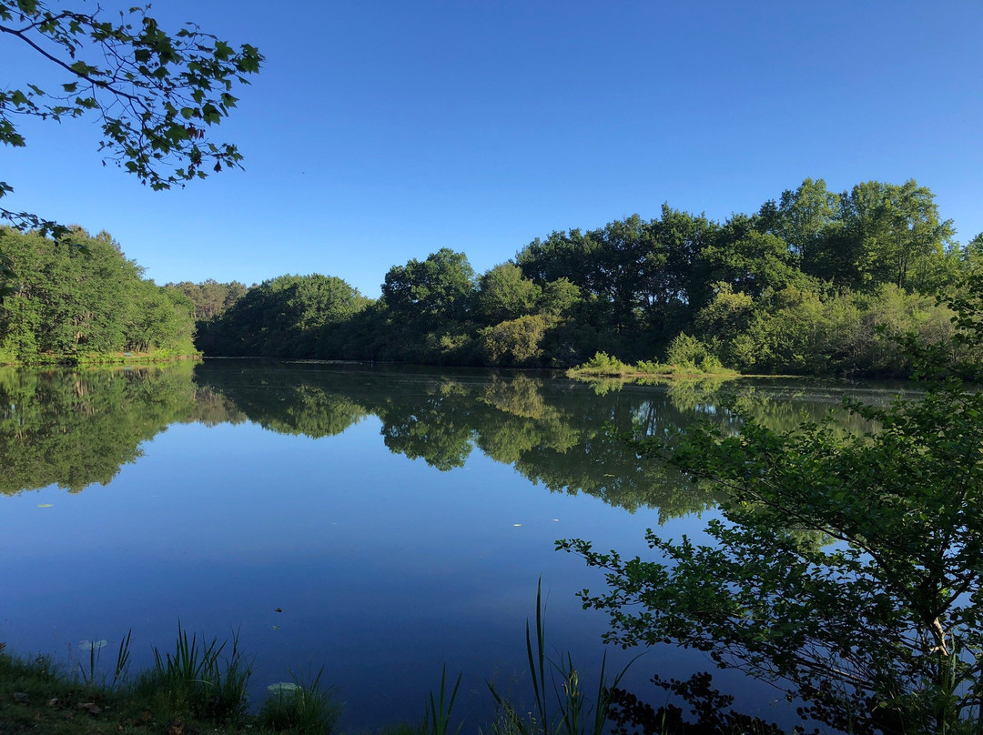 Camping L'étang d'Ardy