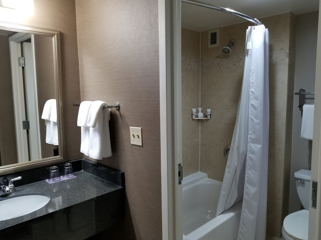 Hyatt Regency Dulles主图