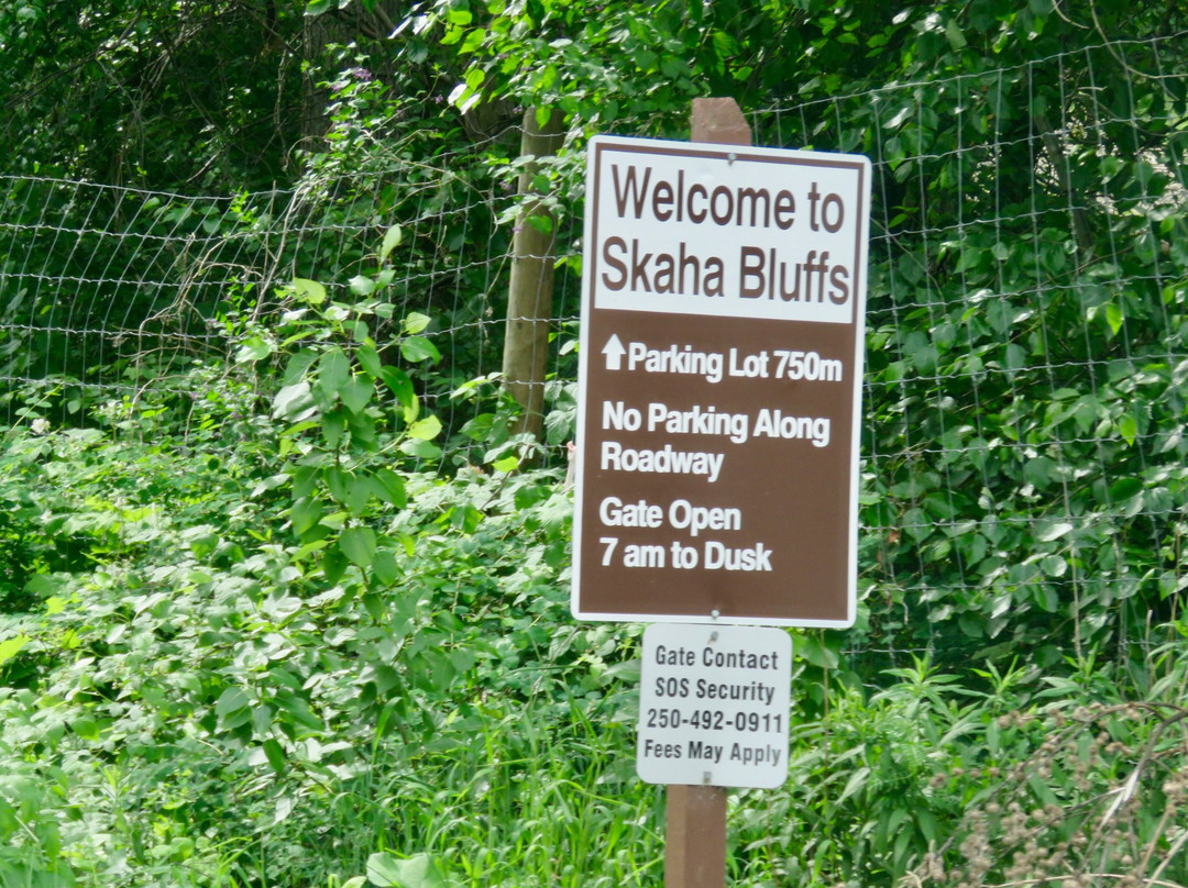 Skaha Bluffs Provincial Park景点图片