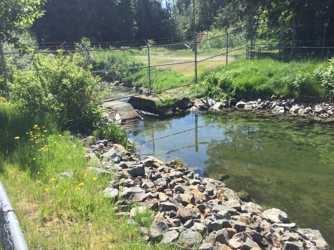 Chehalis River Salmon and Trout Enhancement Facility-阿加斯市必去景点