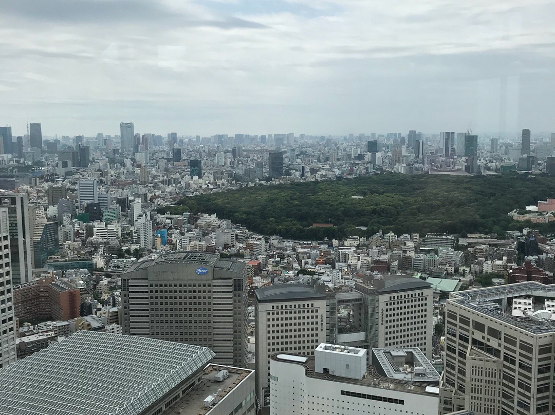 Tokyo Metropolitan Government Building Observation Decks景点图片