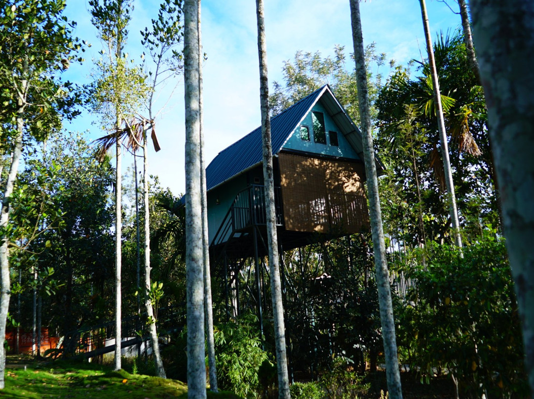 Kedara Village主图