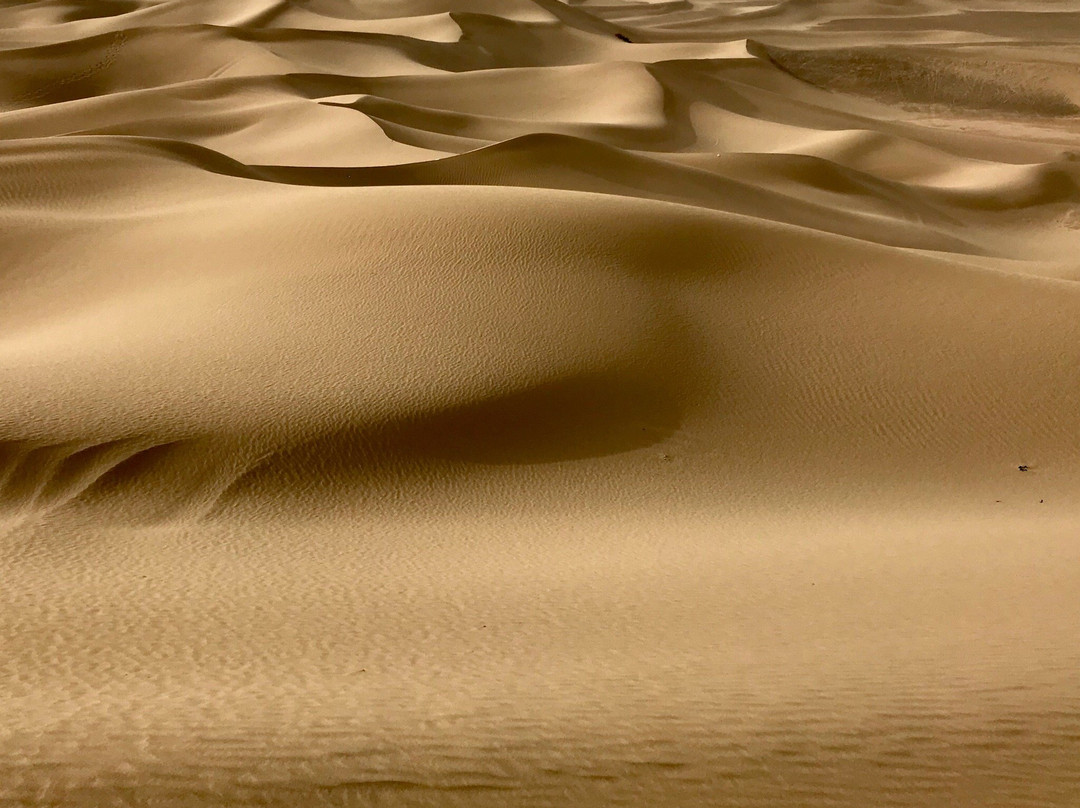 Bafgh Desert景点图片