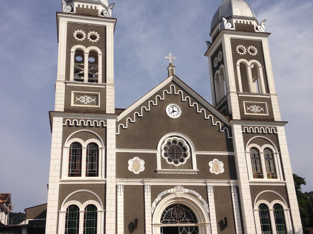 Igreja Matriz Sao Virgilio景点图片