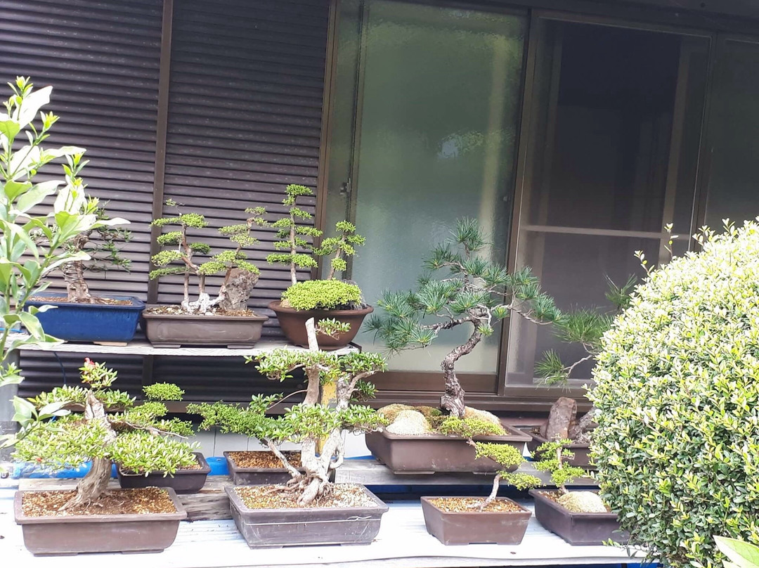 Minshuku Momofuku主图