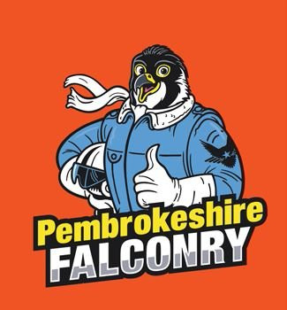 Pembrokeshire Falconry景点图片