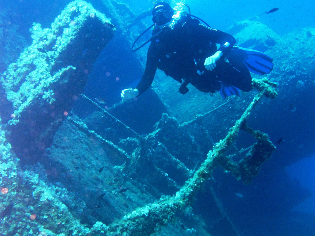 Diving Pomonte景点图片