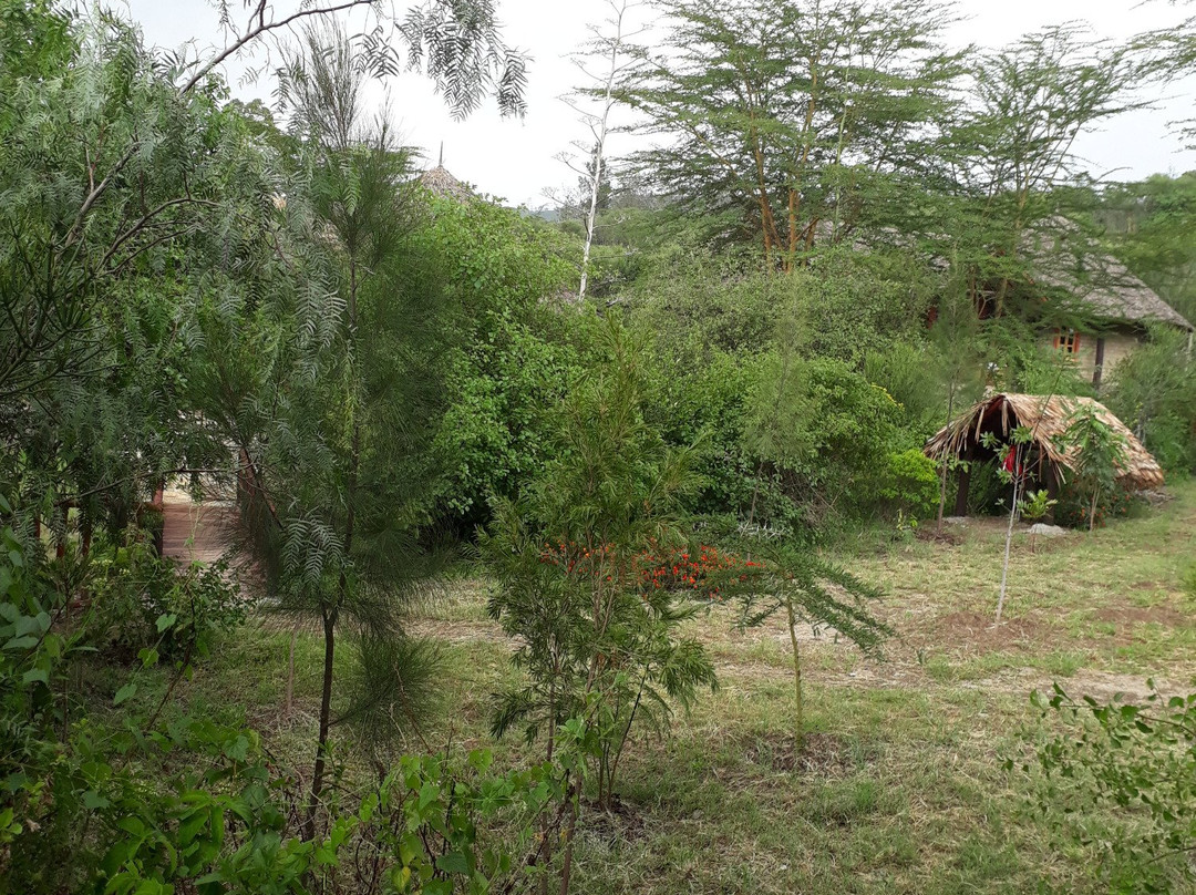 Sirville Lake Elementaita Lodge主图