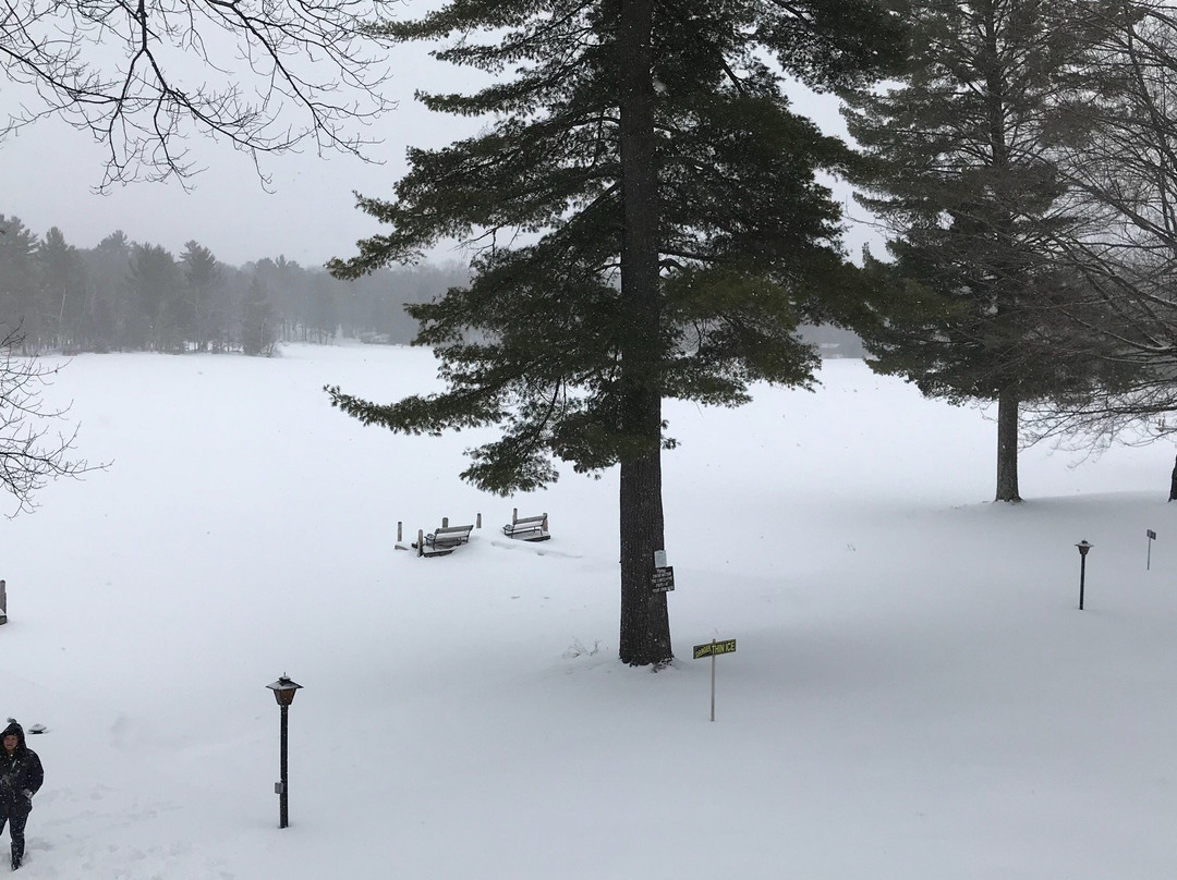 Chanticleer Inn主图