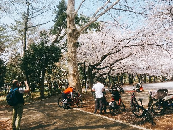 One & Only! Weird Tokyo Bike Tour-目黒区必去景点
