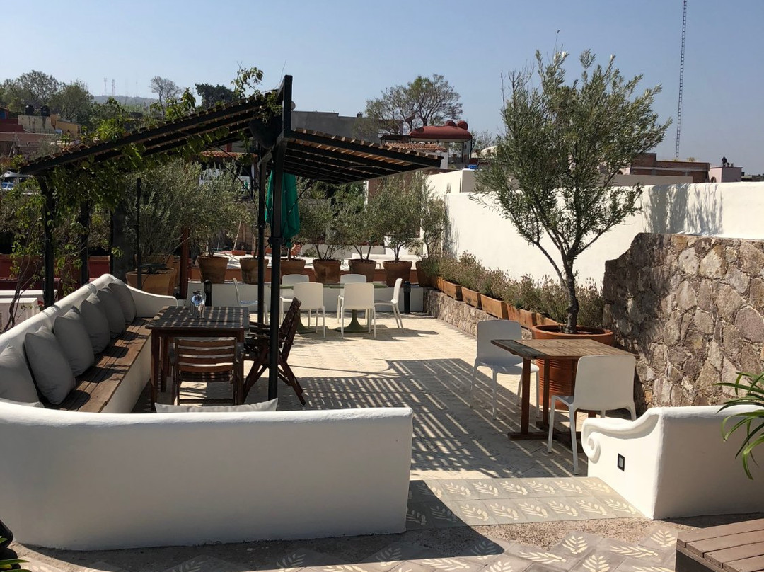 Casa de Los Olivos主图