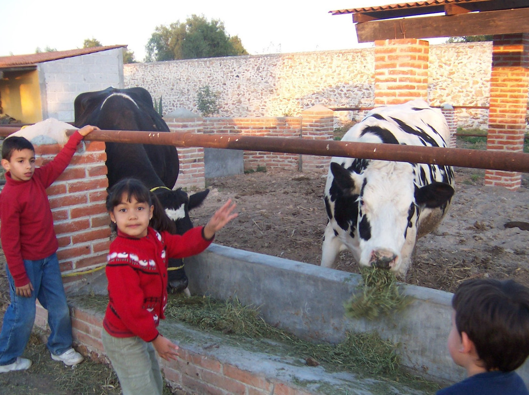Vive Disfruta Mexico-克雷塔罗必去景点