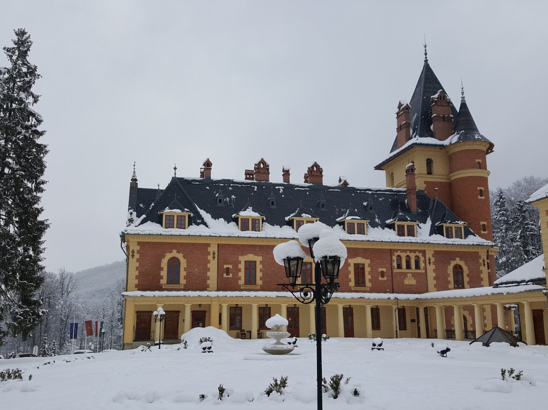 Kastélyhotel Sasvár Resort主图