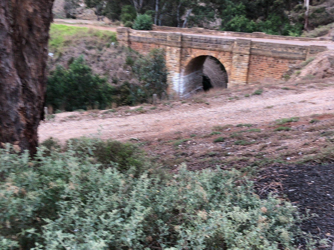 Anthony's Cutting Bridge景点图片