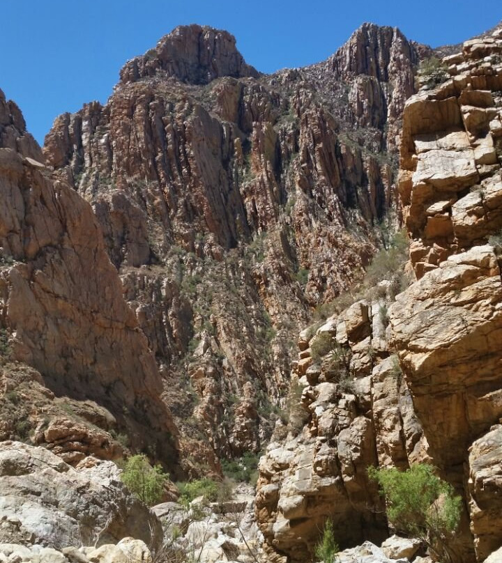 into NATURE excursions-乔治必去景点