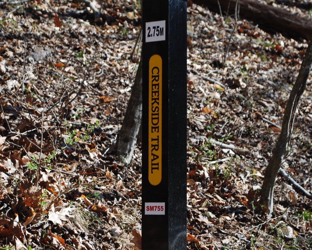 Blackwater Creek Trail景点图片