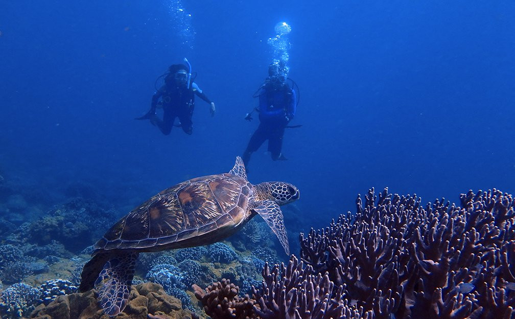 Guam Ocean Adventures景点图片