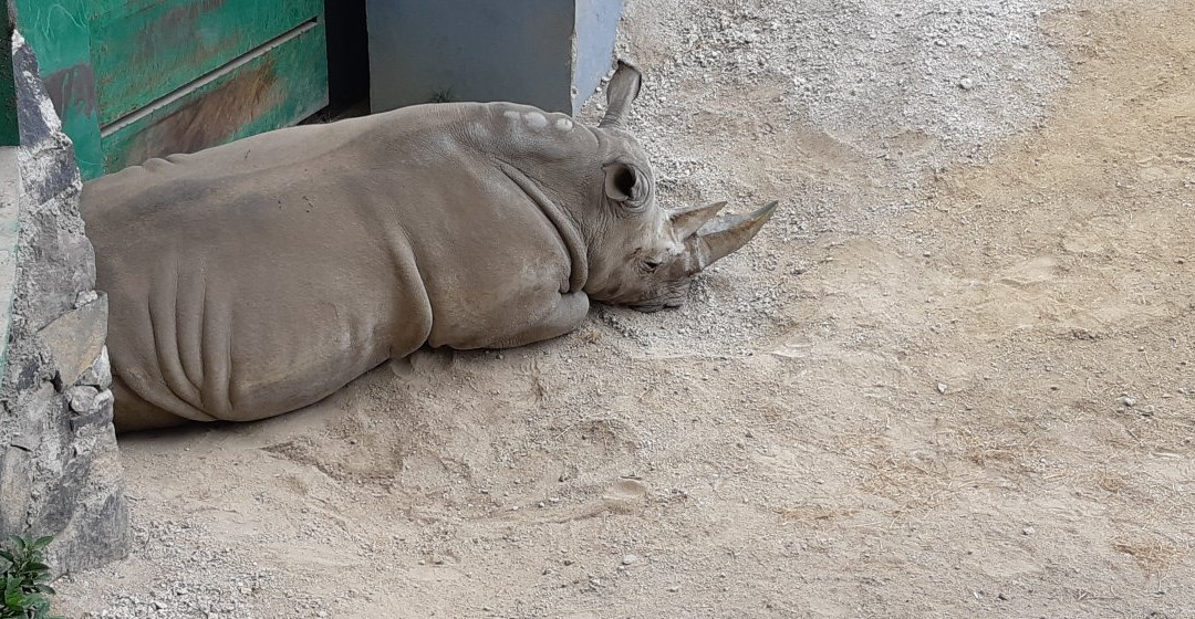 Zoologico Zacango-墨西哥城必去景点