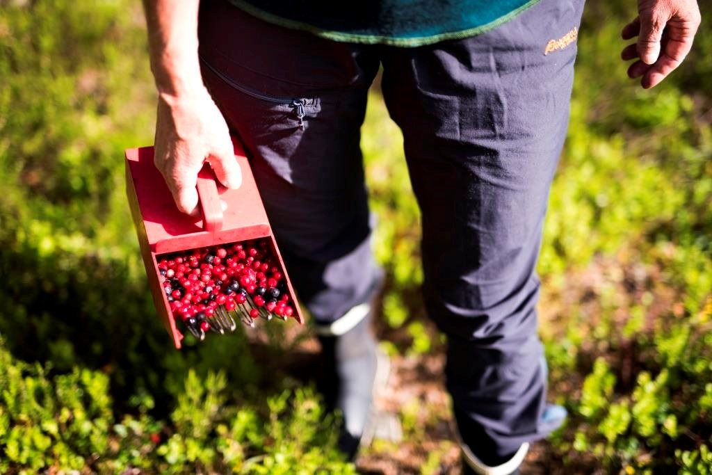 Hillestad Feriesenter Fosslaug主图