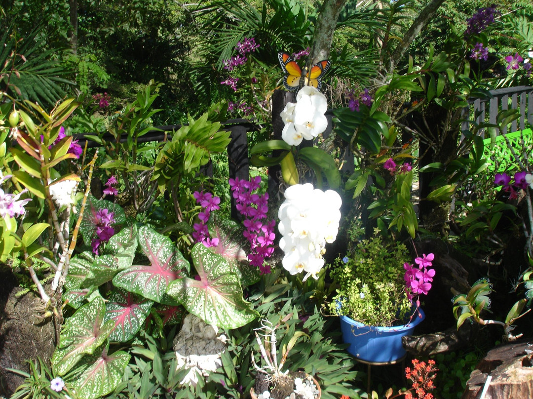 Away Day Country Park-Maimon必去景点