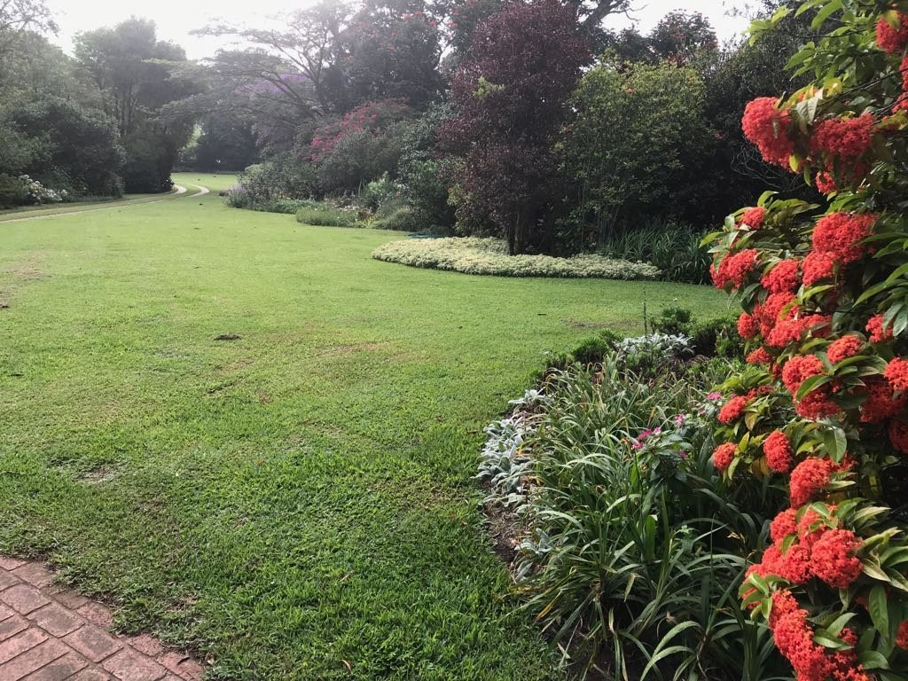 Chase Guest House主图