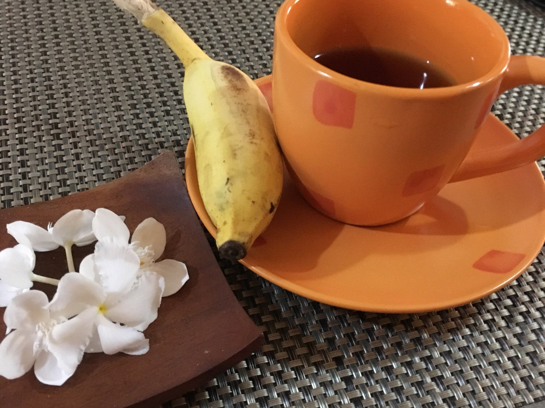 Breeze of Paradise Elite主图