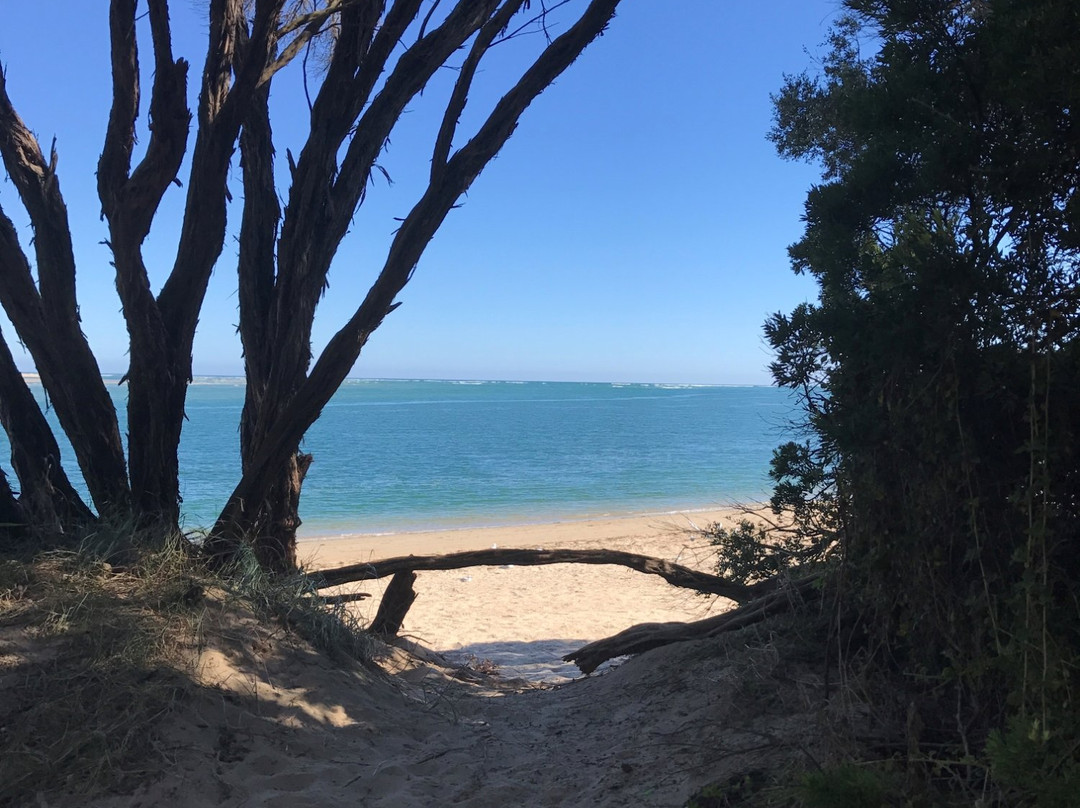 The Glade-Inverloch必去景点