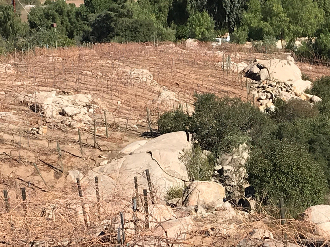 Turtle Rock Ridge Vineyard & Winery景点图片