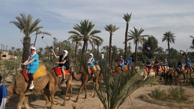 Chameau Marrakech-马拉喀什必去景点