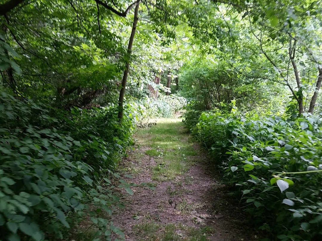 Creek Park-Dodge Center必去景点