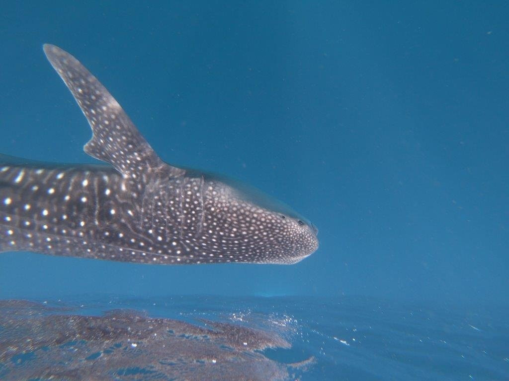 Arta Beach-Arta必去景点