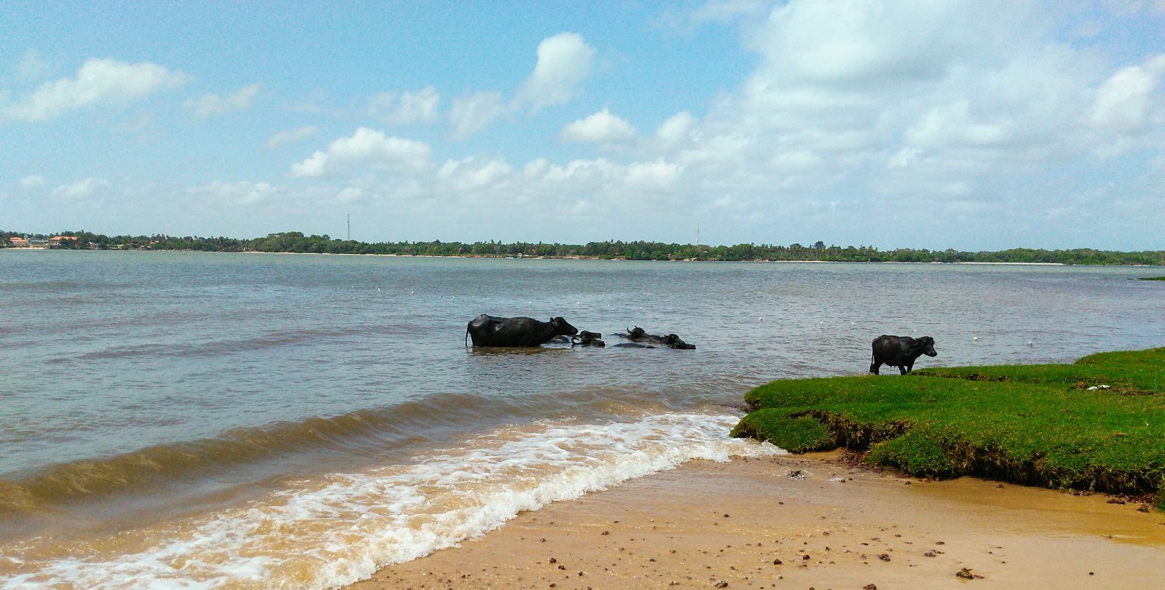 Hotel Ilha do Marajo-官方