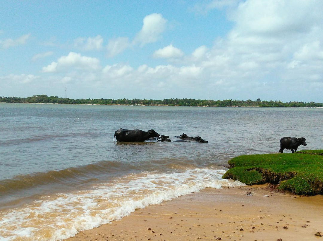 Hotel Ilha do Marajo主图