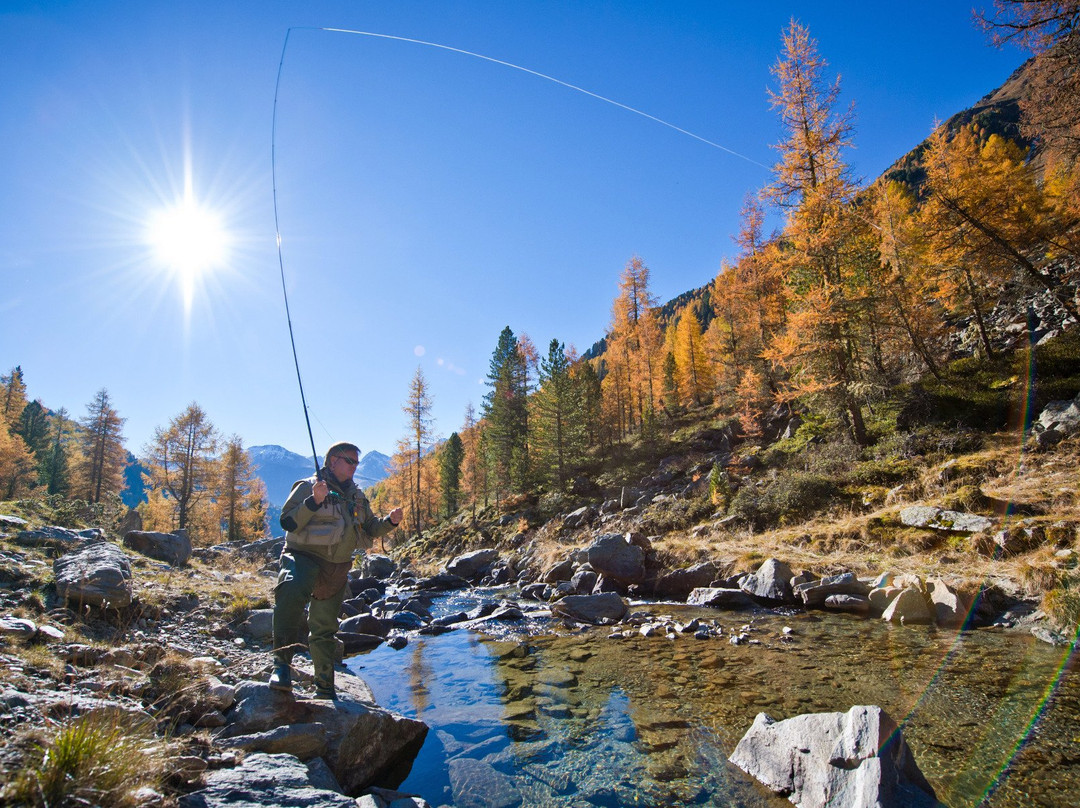 Naturhotel Tandler主图