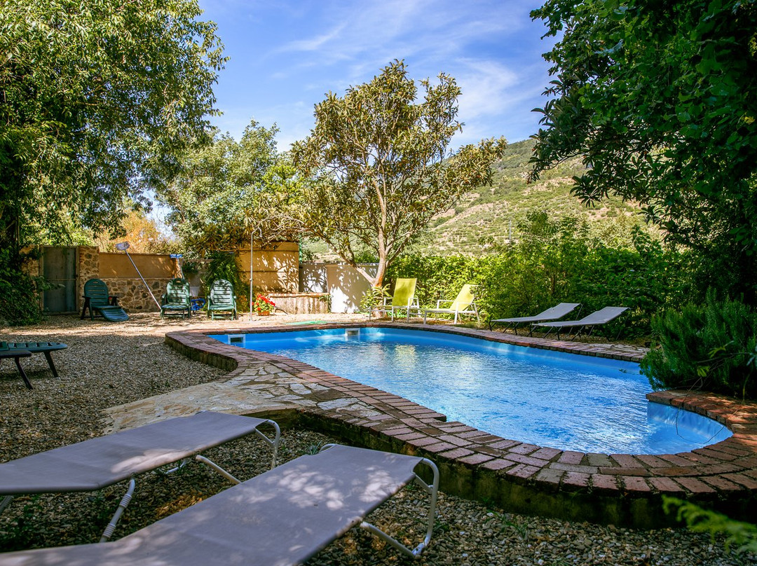 林中小屋乡村旅馆主图