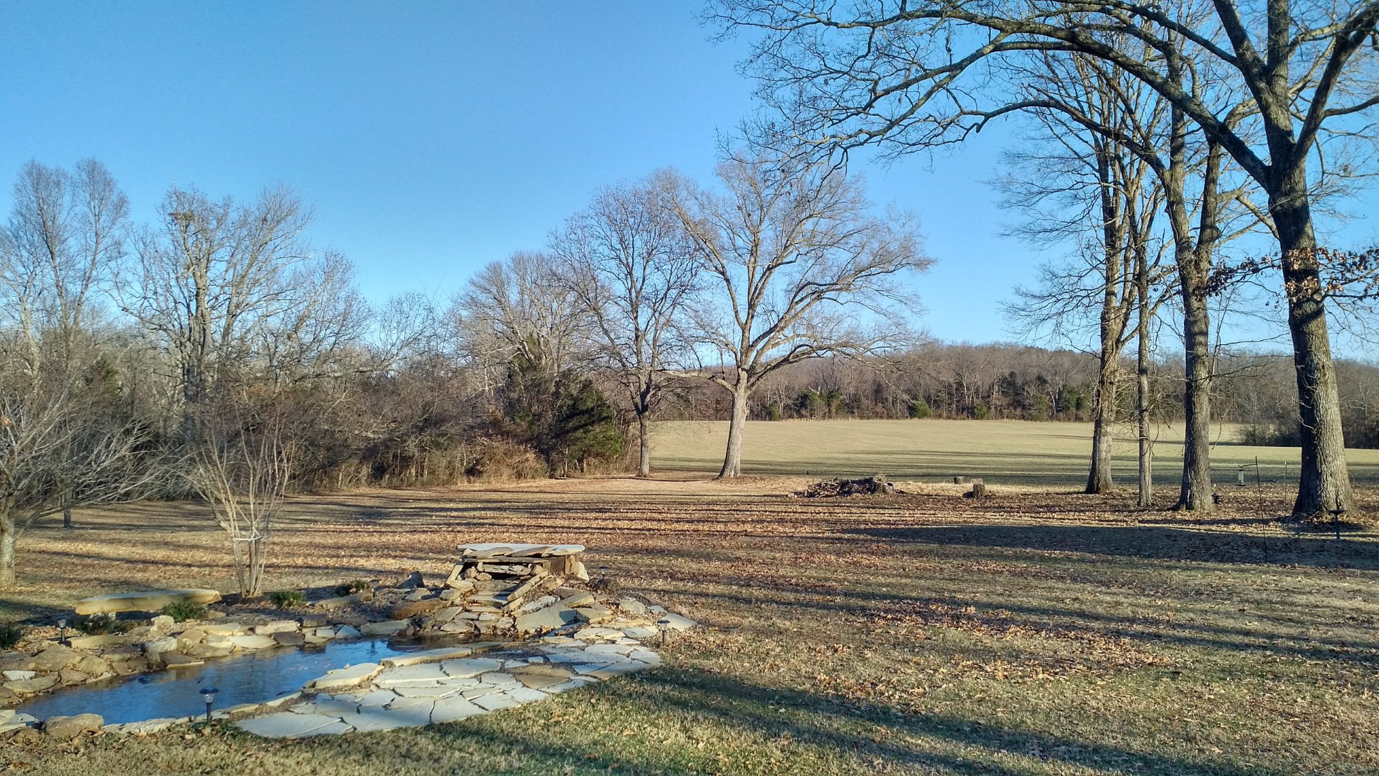 Sisters on Sycamore Bed & Breakfast-酒店景观