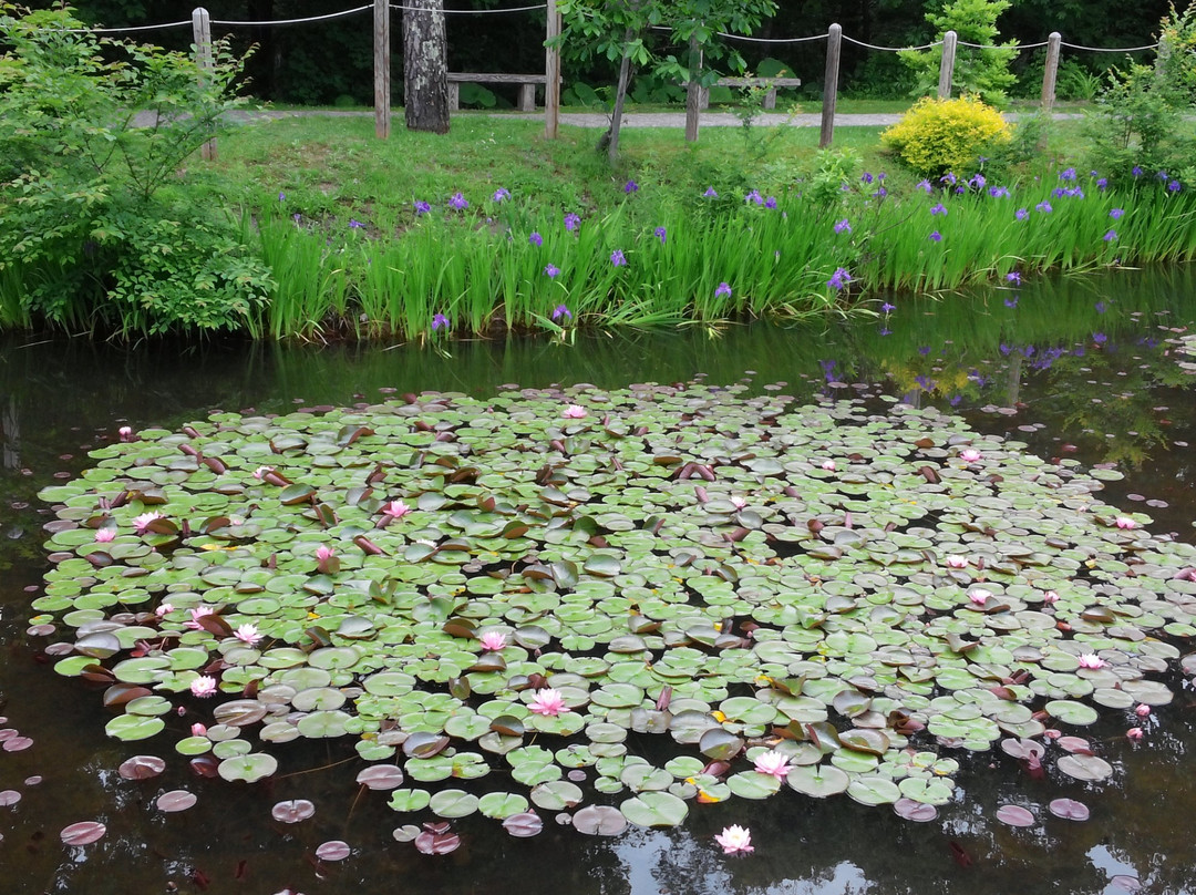 Asahiyama Miura Garden-旭川市必去景点