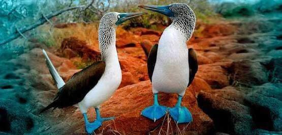 Punta Mita Charters-蓬塔米塔必去景点